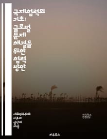 국제협력의 기초: 글로벌 문제 해결을 위한 협력 방안 - 국제협력, 글로벌화, 다자간 협력, 국제기구, 유엔, 개발원조, 지속가능성, 인권, 환경문제, 경제협력, 문화교류, 평화유지, 인도적 지원, 기후변화, 안전보장, 외교정책,