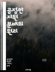 공정한 자원 분배의 원리 - 공정성, 자원 관리, 분배 이론, 경제학, 사회 정의, 불평등, 자원 할당, 윤리, 정책 분석, 협력, 게임 이론, 효율성, 복지, 사회적 선택, 인간 행동, 갈등 해결, 지속 가능성, 기회 균등, 공