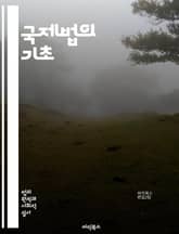국제법의 기초 - 국제법, 조약, 협정, 국제기구, 유엔, 인권, 국제범죄, 해양법, 경제법, 분쟁해결, 외교관계, 인도법, 국제재판소, 주권, 국가책임, 국제법원, 비정부기구, 환경법, 무역법, 군사법, 평화유지, 인도적 개입, 표지 이미지