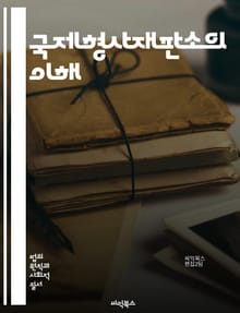 국제형사재판소의 이해 - 국제법, 인권, 전쟁범죄, 범죄예방, 정의, 국제사법, 피고인권, 재판절차, 피해자, 국제사회, 법적기구, 증거수집, 형사재판, 공소권, 법원구성, 협력, 면책특권, 국제협약, 판례, 국제형사법, 사법적응