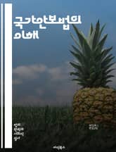 국가안보법의 이해 - 국가안보법, 법률, 정치, 역사, 북한, 남한, 인권, 자유, 민주주의, 사회, 통일, 안보, 위협, 대북 정책, 경찰, 정보기관, 공안, 검열, 언론, 시민권, 법적 쟁점, 국제관계, 사회적 갈등, 법정,  표지 이미지