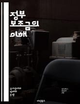 정부 보조금의 이해 - 경제 지원, 정책, 재정 지원, 농업 보조금, 산업 발전, 사회 복지, 기업 지원, 세금 감면, 청년 지원, 주택 보조금, 환경 보조금, 연구 개발, 고용 창출, 지방 정부, 국제 비교, 재정 건전성, 효율 표지 이미지