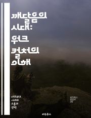 깨달음의 시대: 워크 컬처의 이해 - 정체성, 사회 정의, 인권, 다양성, 포용, 정치적 올바름, 문화 전쟁