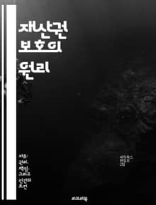 재산권 보호의 원리 - 재산권, 법적 보호, 인간의 권리, 소유권, 국가의 역할, 국제법, 경제적 안정