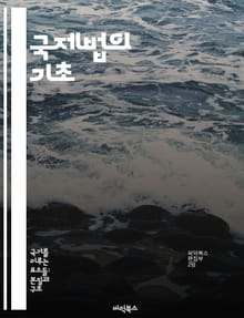 국제법의 기초 - 국제법, 조약, 관습법, 인권, 국제기구, 분쟁해결, 국가주권