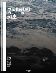 국제법의 기초 - 국제법, 조약, 관습법, 인권, 국제기구, 분쟁해결, 국가주권