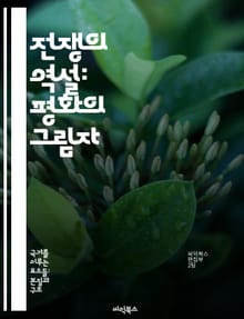 전쟁의 역설: 평화의 그림자 - 전쟁, 평화, 전략, 역사, 전투, 인류, 외교