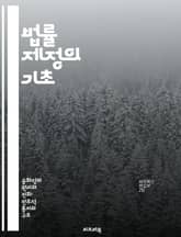 법률 제정의 기초 - 법률, 제정, 과정, 원칙, 입법, 정책, 사례 표지 이미지