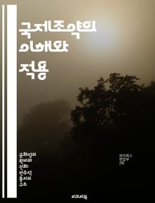 국제조약의 이해와 적용 - 국제법, 조약 체결, 협상 과정, 이행, 분쟁 해결, 국가 간 관계, 국제기구
