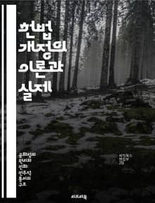 헌법 개정의 이론과 실제 - 헌법, 개정, 민주주의, 법률, 절차, 권리, 정치