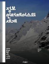 정보 인터페이스의 세계 - 정보, 인터페이스, 사용자 경험, 데이터 시각화, 상호작용, 디자인, 기술 표지 이미지