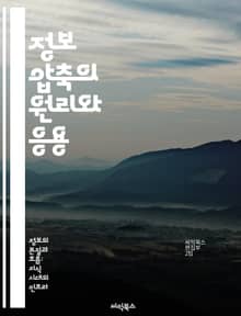 정보 압축의 원리와 응용 - 정보 이론, 압축 알고리즘, 데이터 저장, 전송 효율, 손실 압축, 비손실 압축, 인공지능