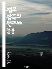 정보 압축의 원리와 응용 - 정보 이론, 압축 알고리즘, 데이터 저장, 전송 효율, 손실 압축, 비손실 압축, 인공지능