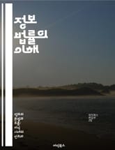 정보 법률의 이해 - 정보 보호, 데이터 프라이버시, 사이버 보안, 지적 재산권, 전자상거래, 법적 규제, 기술 혁신 표지 이미지