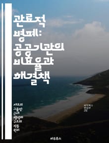 관료적 병폐: 공공기관의 비효율과 해결책 - 관료제, 비효율, 공공기관, 개혁, 투명성, 책임성, 조직문화