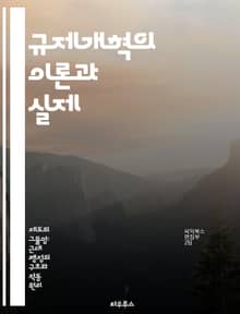 규제개혁의 이론과 실제 - 규제, 개혁, 정책, 경제, 행정, 혁신, 사례