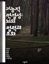 기능적 연결성: 뇌의 협력과 조화 - 신경과학, 뇌 기능, 연결망, 시냅스, 대뇌 피질, 인지 행동, 신경망 표지 이미지