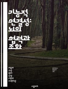 기능적 연결성: 뇌의 협력과 조화 - 신경과학, 뇌 기능, 연결망, 시냅스, 대뇌 피질, 인지 행동, 신경망