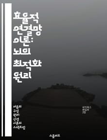 효율적 연결망 이론: 뇌의 최적화 원리 - 뇌 네트워크, 연결망, 효율성, 신경 과학, 정보 처리, 뇌 기능, 최적화