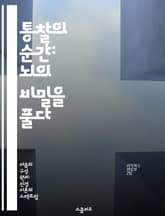 통찰의 순간: 뇌의 비밀을 풀다 - 통찰, 뇌 메커니즘, 창의성, 문제 해결, 인지 과학, 신경 과학, 직관 표지 이미지