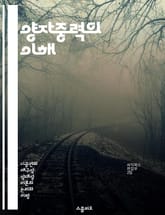 양자중력의 이해 - 양자역학, 일반상대성이론, 끈이론, 루프양자중력, 우주론, 블랙홀, 시공간 표지 이미지