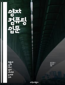 양자 컴퓨팅 입문 - 양자 비트, 큐비트, 양자 얽힘, 양자 알고리즘, 양자 통신, 계산 복잡도, 양자 우월성