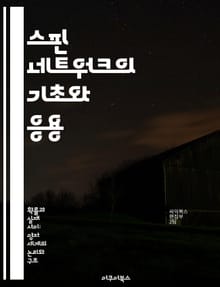 스핀 네트워크의 기초와 응용 - 양자 중력이론, 루프 양자 중력, 비선형 대칭, 그래프 이론, 양자 상태, 물리학의 수학적 구조, 네트워크 모델