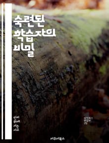 숙련된 학습자의 비밀 - 효율적 학습, 자기 주도, 메타인지, 피드백 활용, 목표 설정, 지속적 개선, 문제 해결
