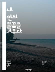 내 안의 불꽃을 키우다 - 자기동기부여, 목표설정, 긍정적 사고, 지속성, 자기계발, 시간관리, 성취감