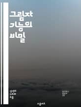 그림자 기능의 비밀 - 프로그래밍, 함수, 최적화, 성능, 디버깅, 알고리즘, 소프트웨어 표지 이미지