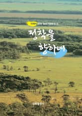 정착을 향하여 표지 이미지