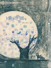 눈이 내리는 여름 표지 이미지