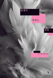 날개가 자라는 날들