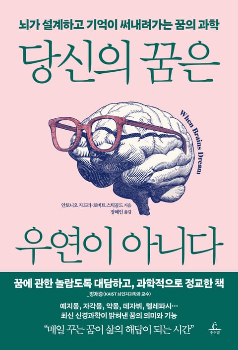 당신의 꿈은 우연이 아니다 표지 이미지