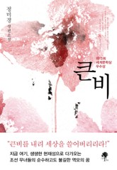 큰비 표지 이미지