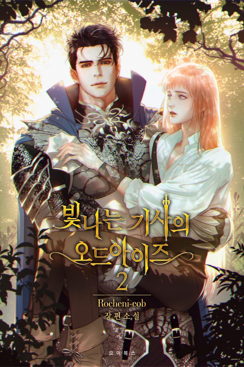 빛나는 기사의 오드아이즈 2권