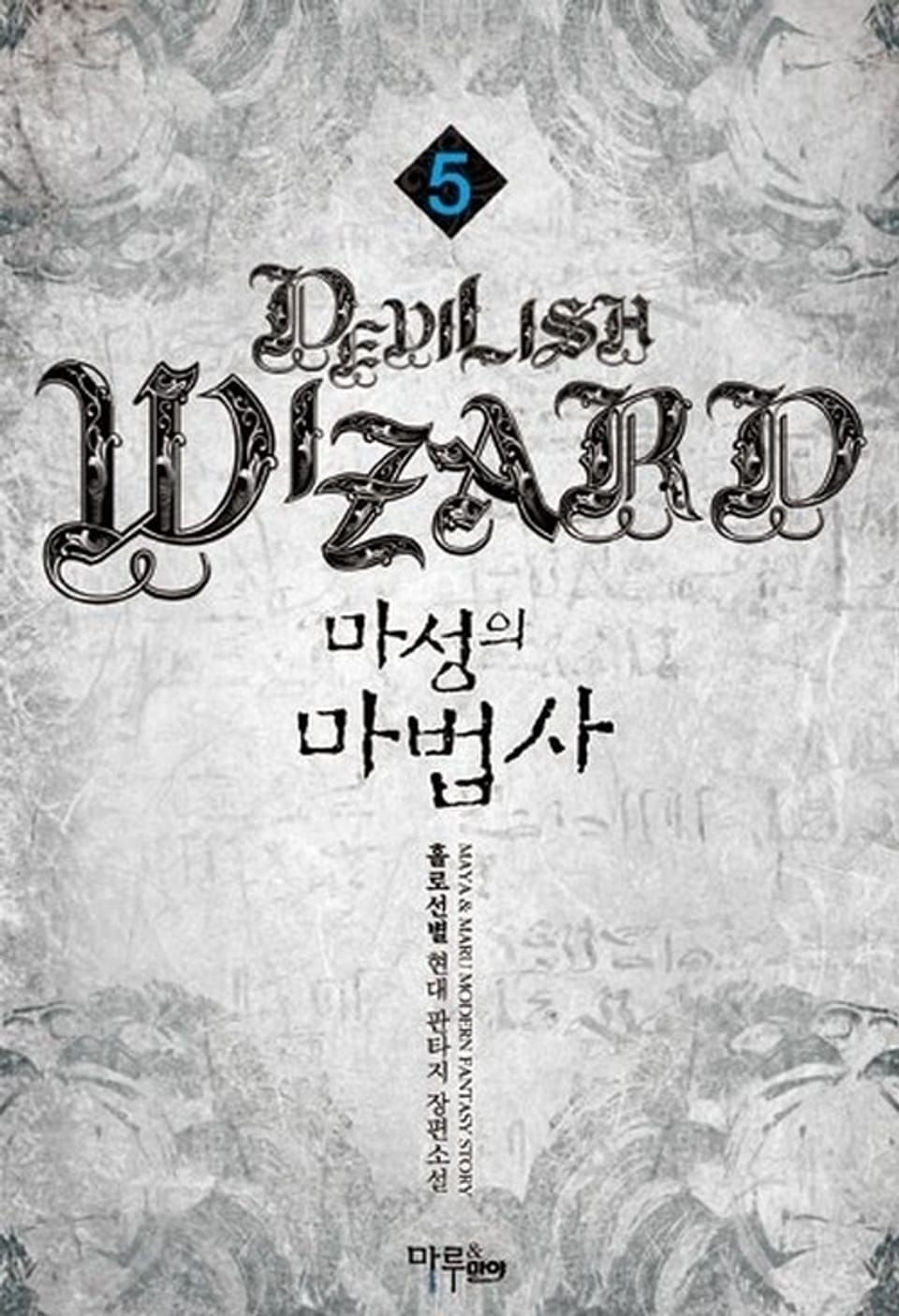 마성의 마법사 5권