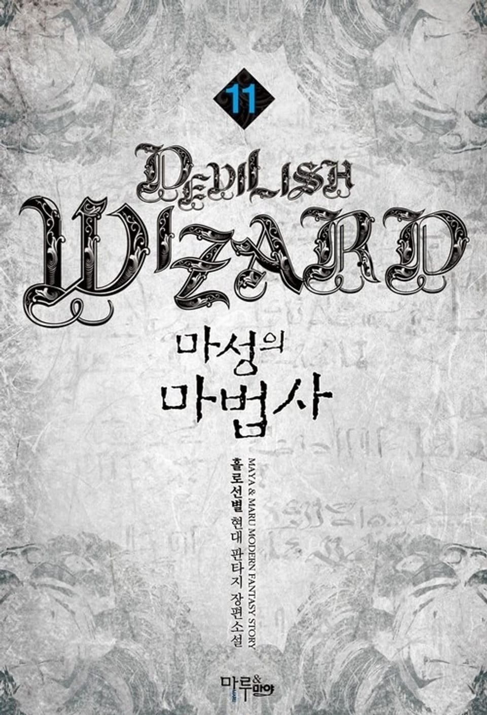 마성의 마법사 11권