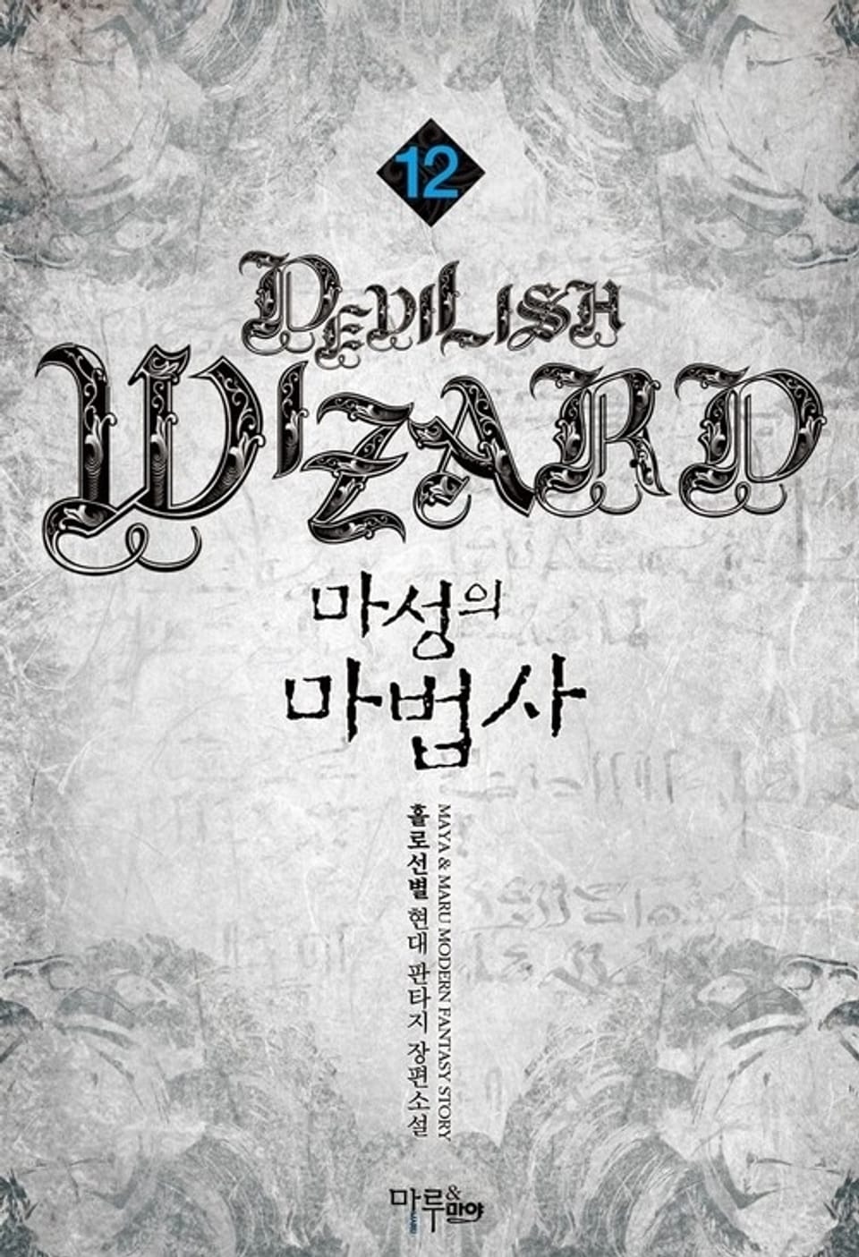 마성의 마법사 12권