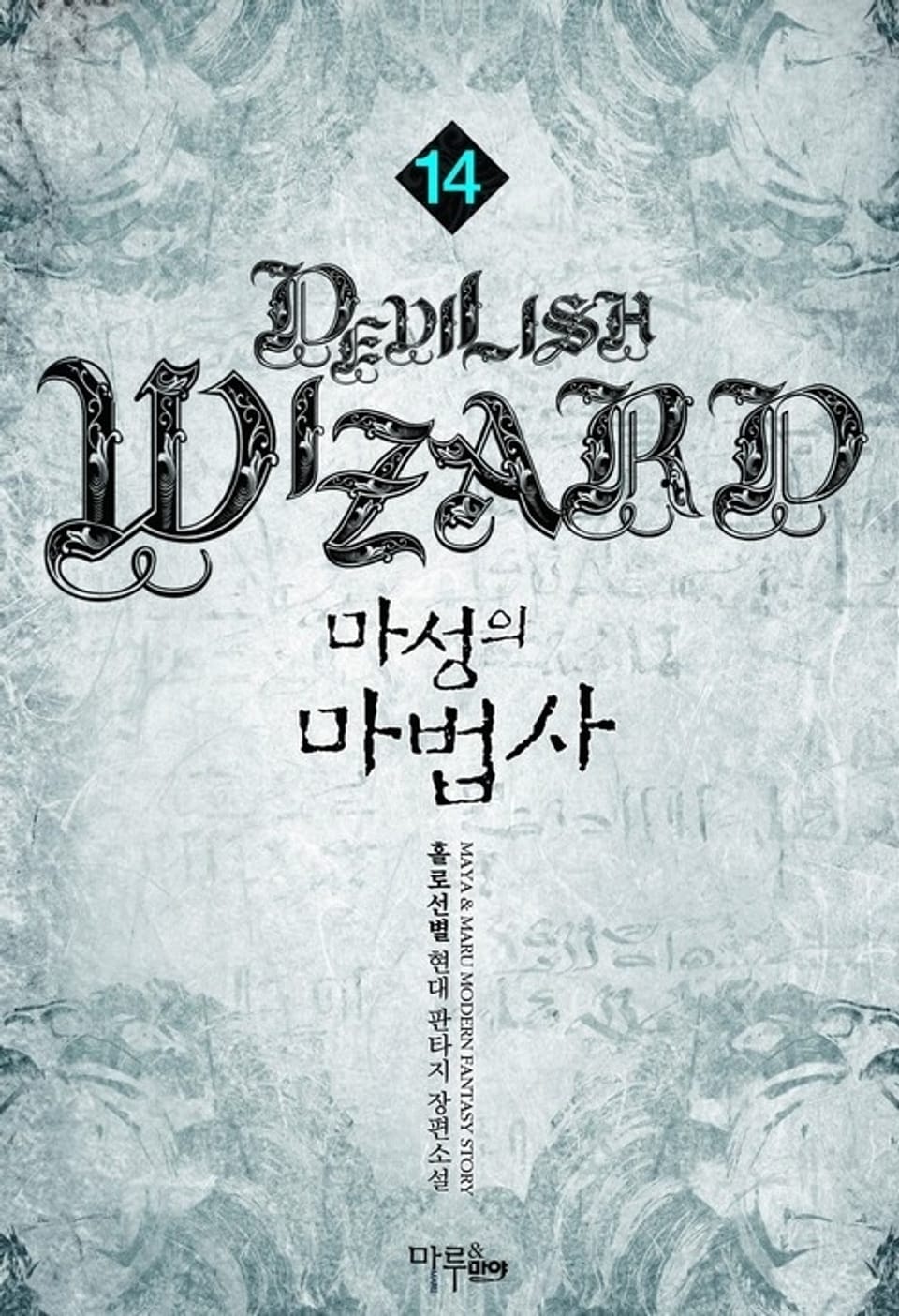 마성의 마법사 14권