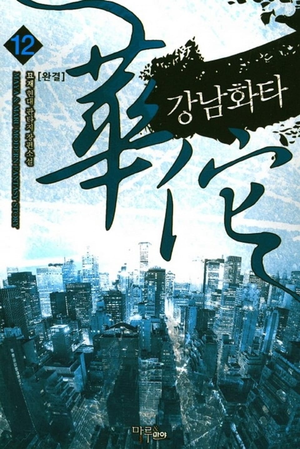 강남화타 12권 (완결)