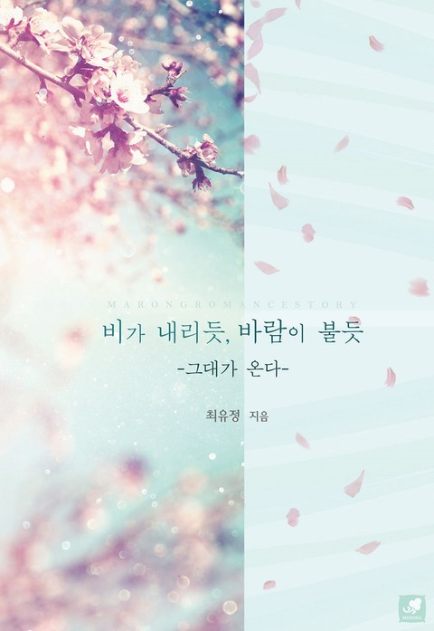 비가 내리듯, 바람이 불듯 표지 이미지