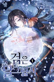 검은 달 그림자