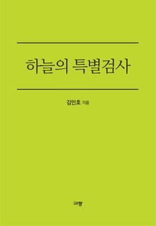 하늘의 특별검사