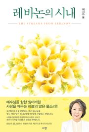 레바논의 시내