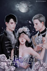 밤의 신부 표지 이미지