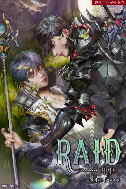 레이드(RAID)