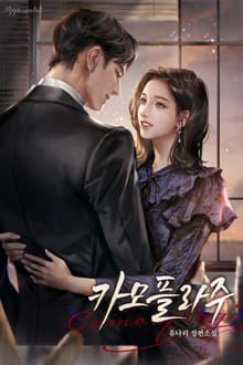 카모플라주 (15세 개정판)