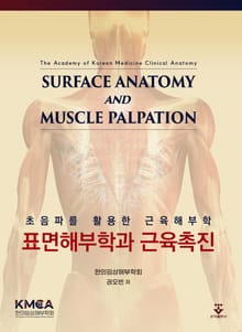 표면해부학과 근육촉진