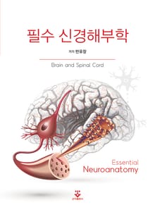 필수 신경해부학